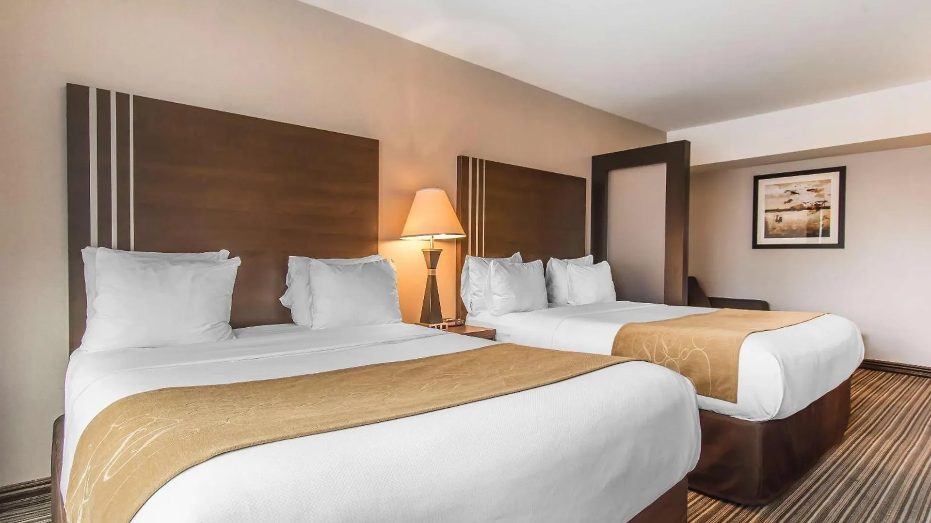 Comfort Suites Downtown Montréal Hotel
