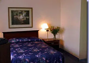 *** Ξενοδοχείο Comfort Suites Downtown Μόντρεαλ Καναδάς